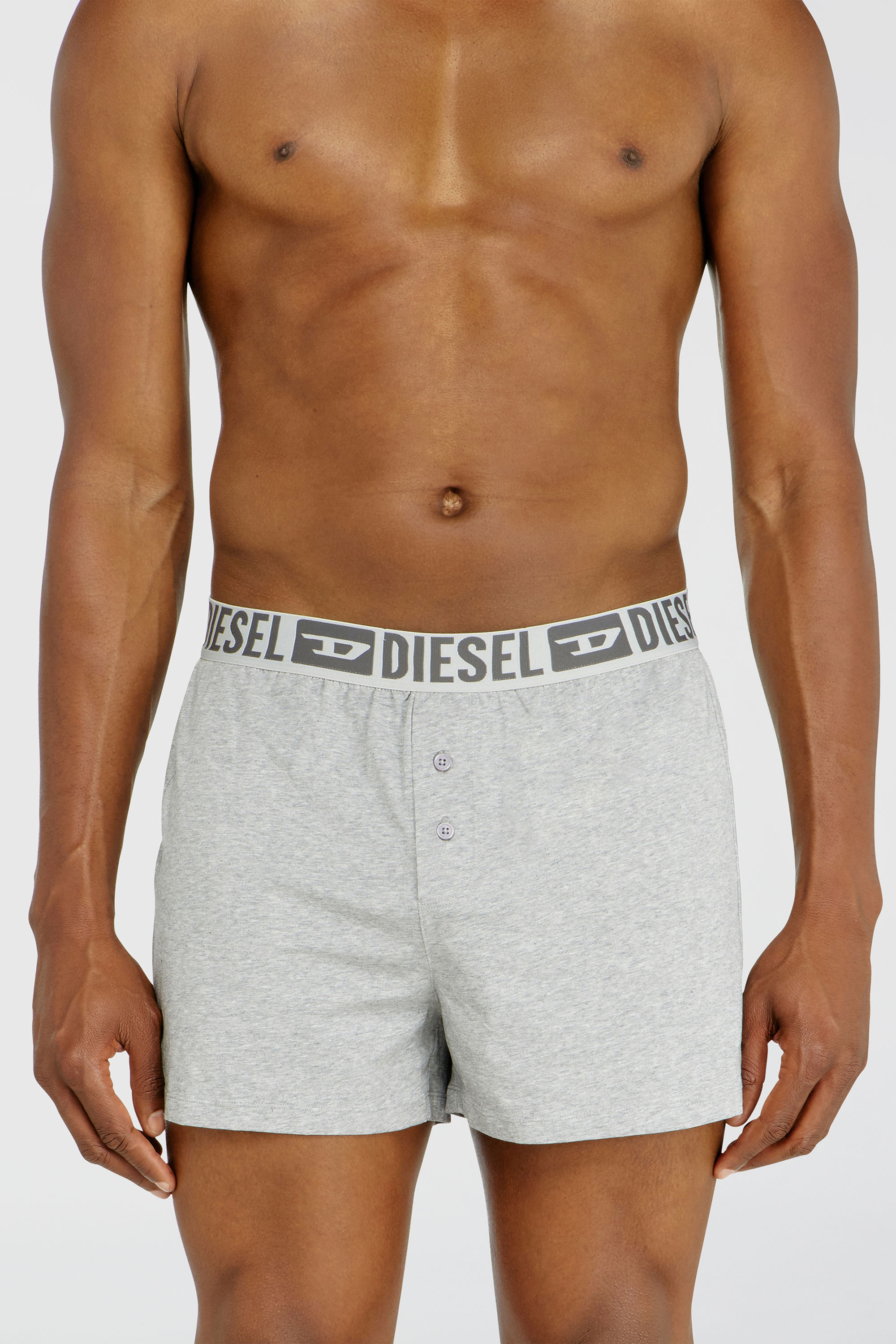 Diesel - STARKIE-D-CORE-2PACK, Man's Two-pack boxer shorts in stretch cotton in Grey - 2