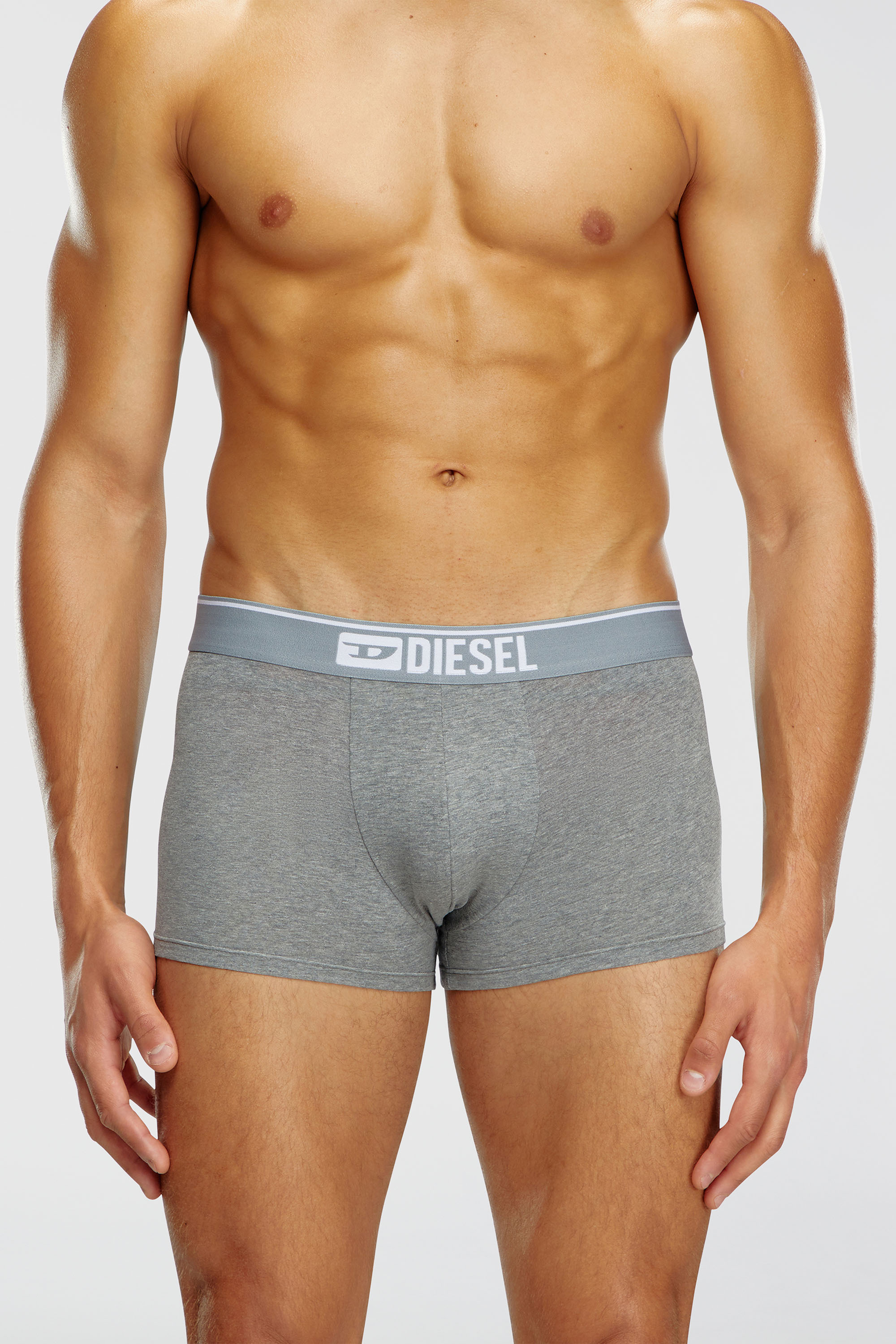 Diesel - UMBX-DAMIENTHREEPACK, Man's Three-pack of plain boxer briefs in White/Grey - 2