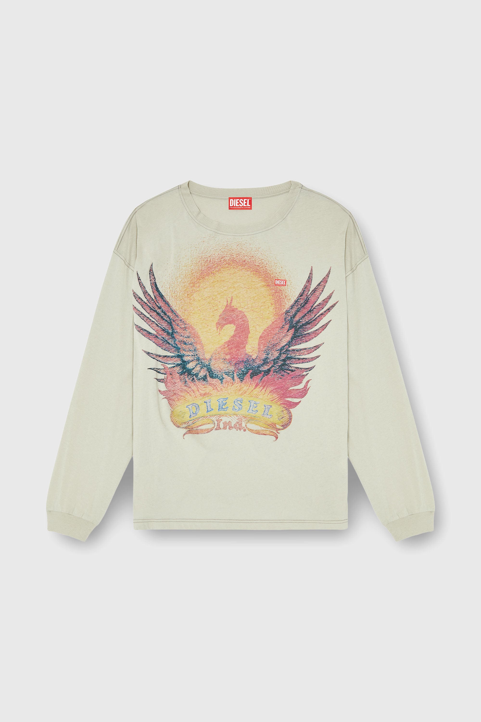 Diesel - T-BOXT-LS-AA1, Man's Long sleeve T-shirt with Phoenix graphic in Beige - 2