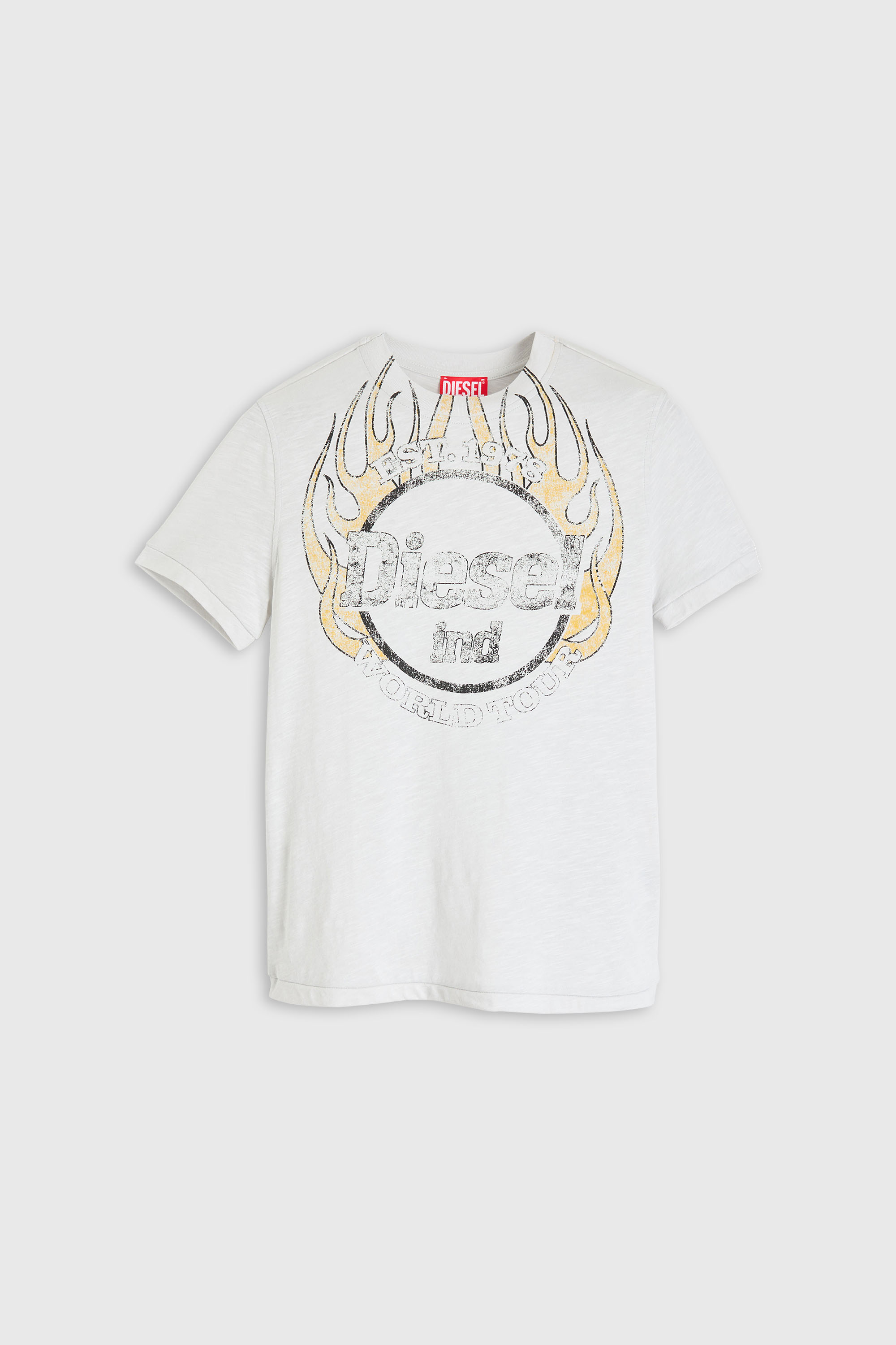 Diesel - T-REG-B1, Woman's T-shirt in slub jersey with crack print in White - 1