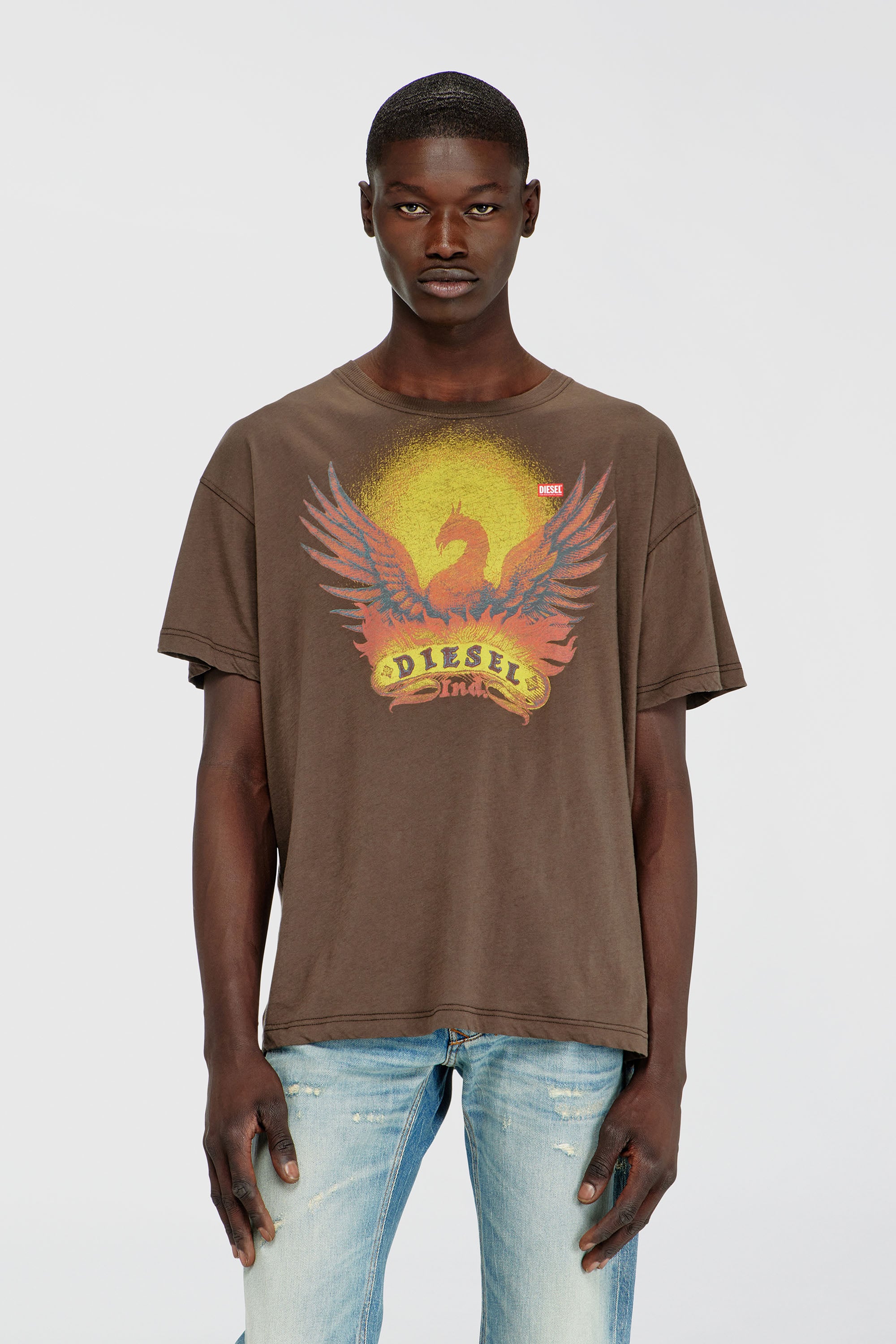 Diesel - T-NORM-AA1, Man's Regular T-shirt with Phoenix print in Brown - 1