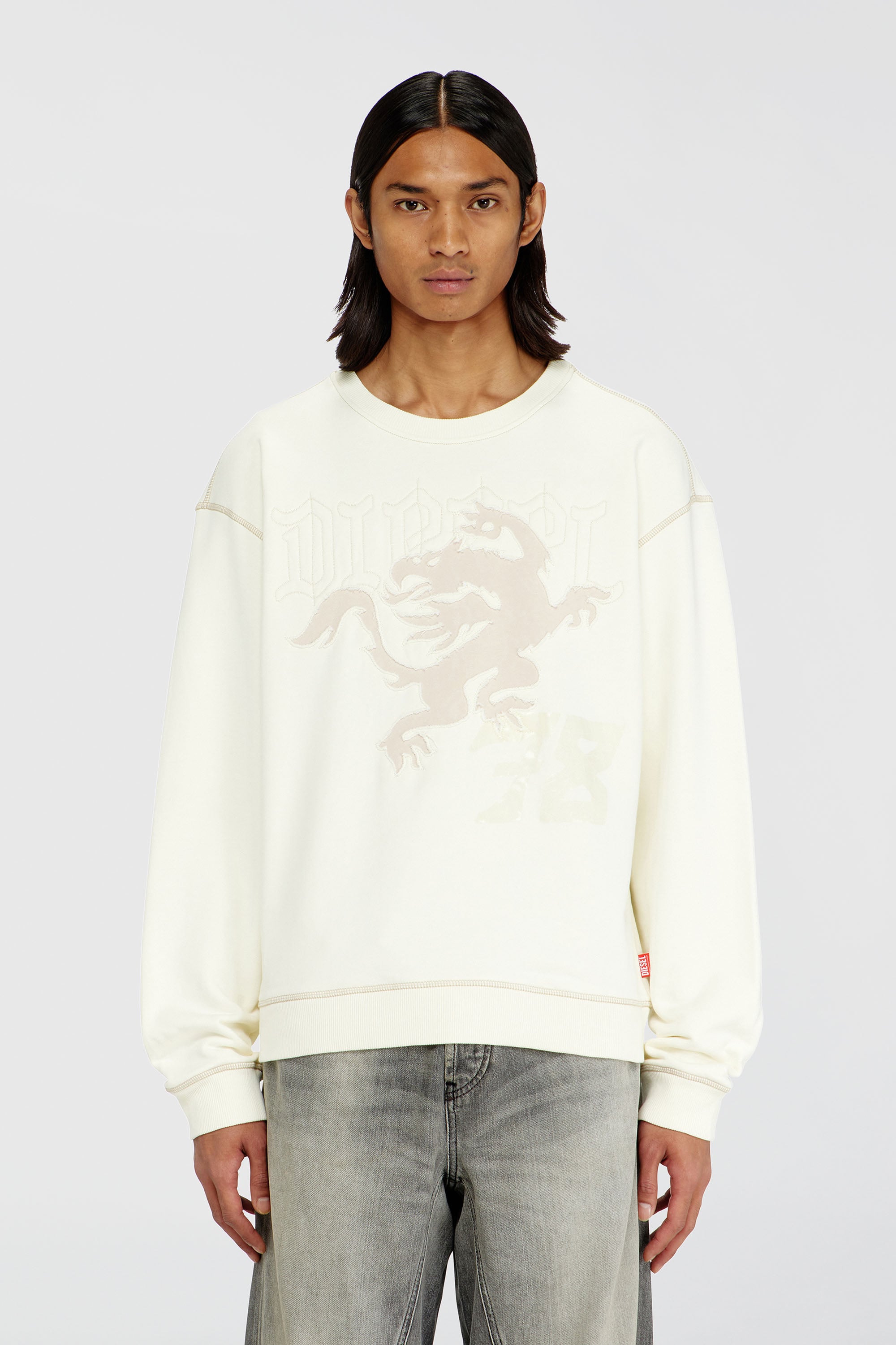 Diesel - S-NORM-AA3, Man's Sweatshirt with embroidery and print in White - 3